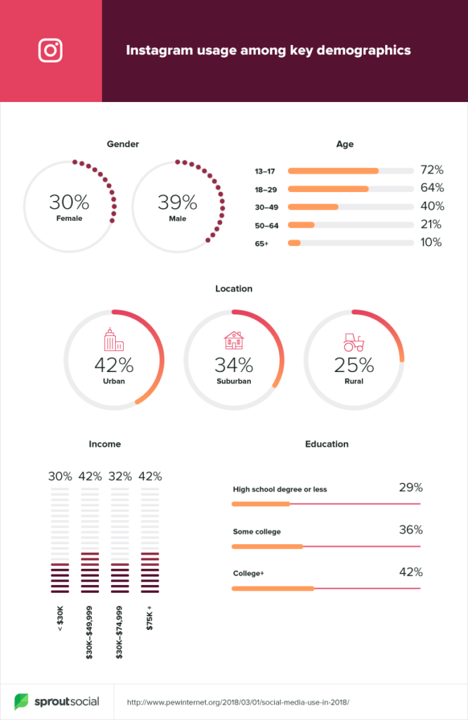 instagram usage among key demographics